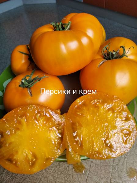 Персики и Крем (персики и сливки) - П - Сортатоматов - Томат ...