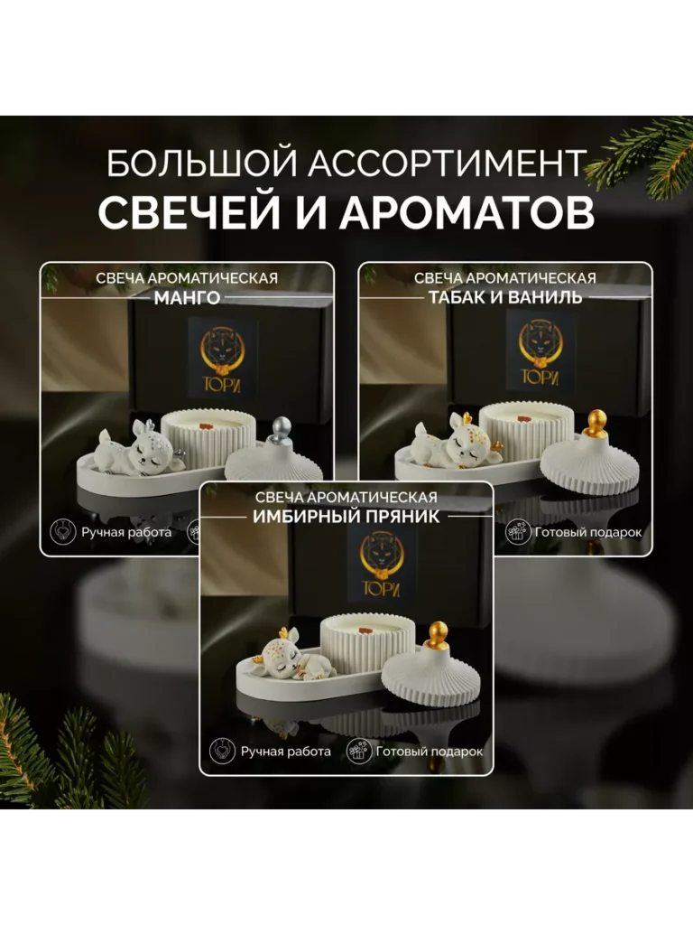 С. А. А. А. Айский аспект 2010990326